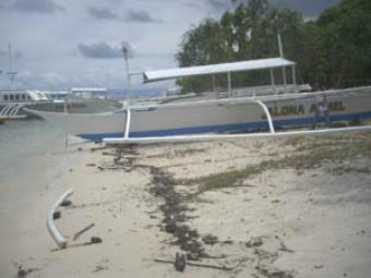 White Sand Beach Front For Sale Panglao.bohol,philippines